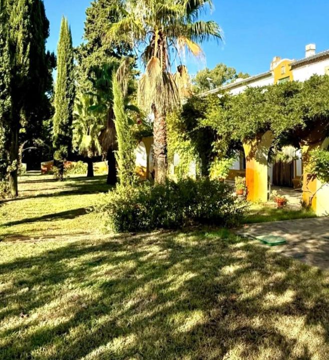Photo of Others in Herrera de Alcantara