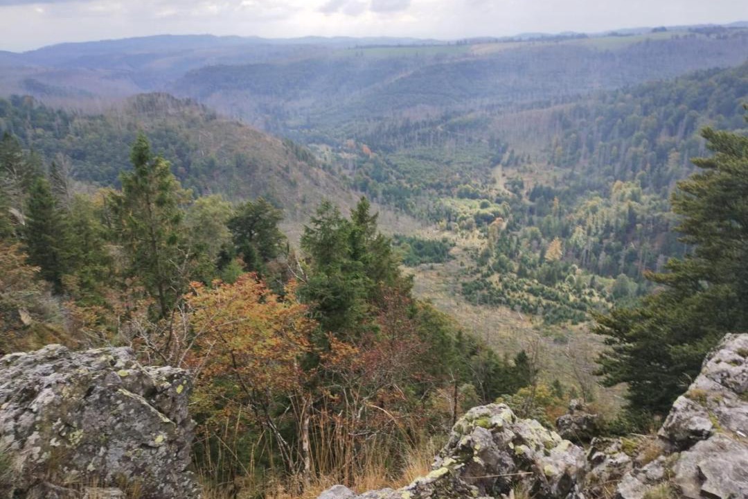 Photo of Others in Altenau
