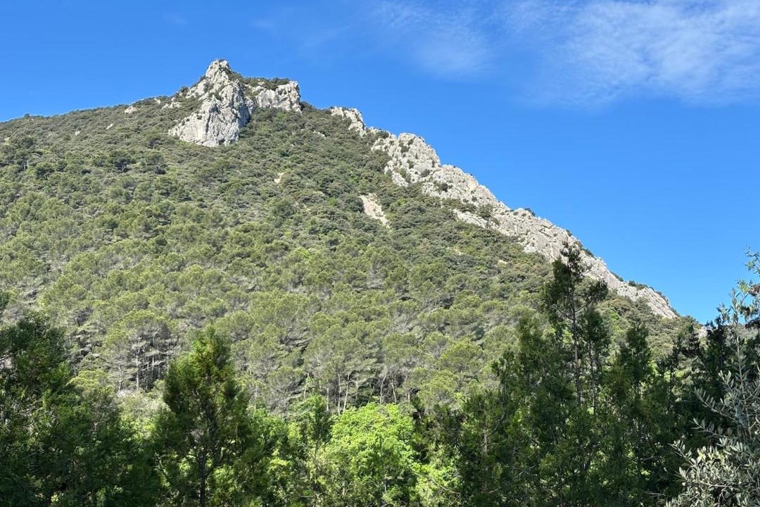 Photo of Others in Lafare