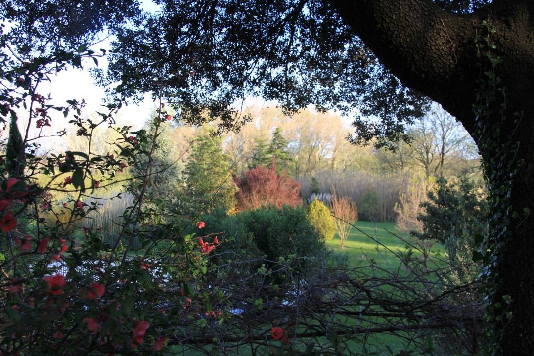 Photo of Others in Suze-la-Rousse