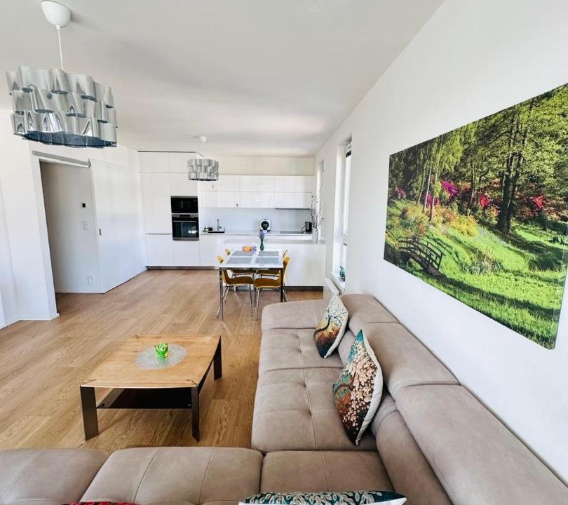 Photo of Livingroom in Nusle
