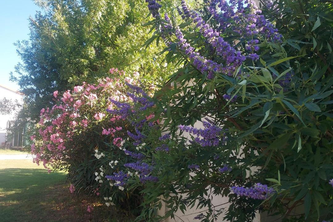 Photo of Outdoor in Arles