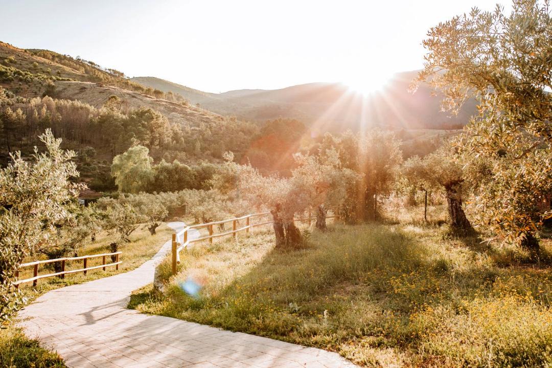 Photo of Outdoor in Pinofranqueado