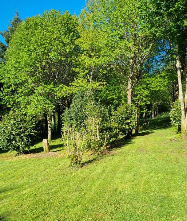 Photo of Outdoor in Maceira