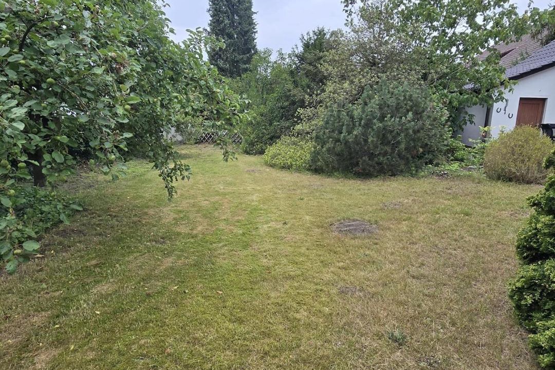 Photo of Others in Verden