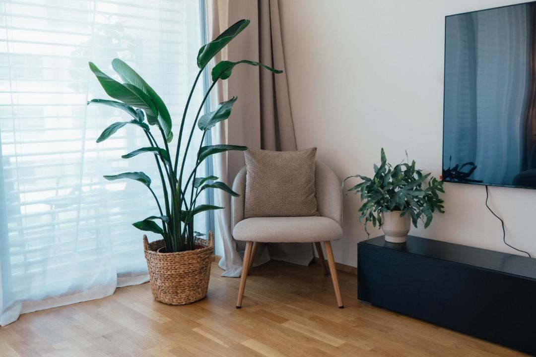 Photo of Livingroom in Rohansky ostrov