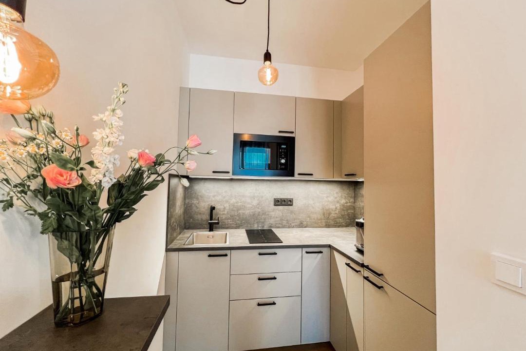 Photo of Kitchen in Palmovka