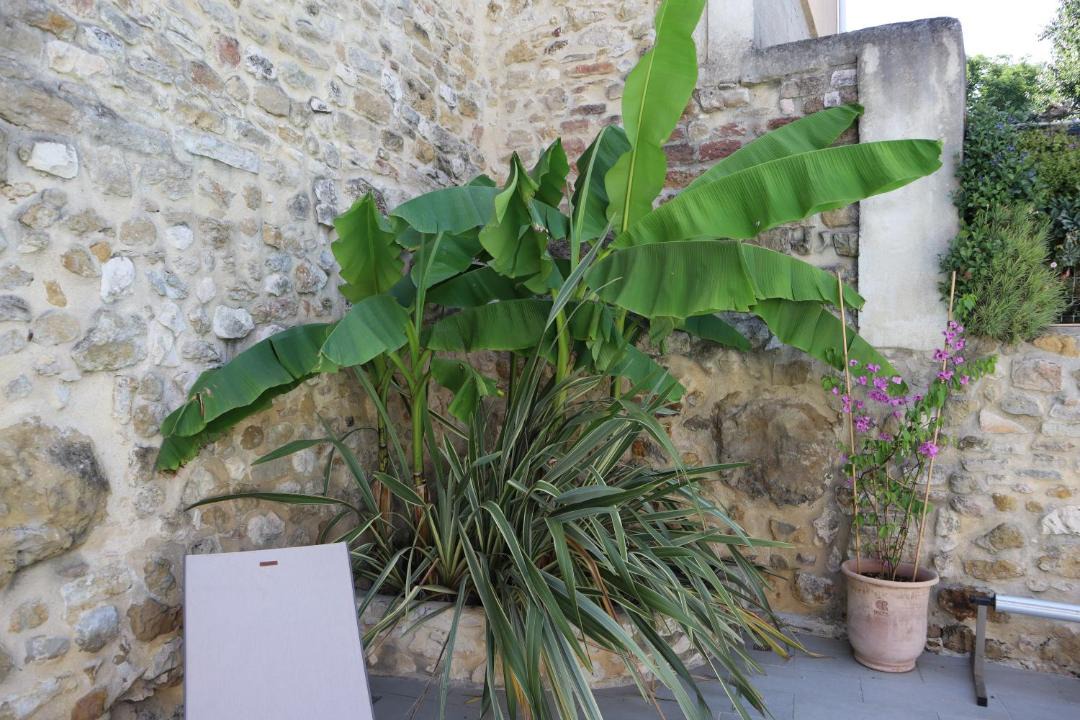 Photo of Others in Euzet-les-Bains