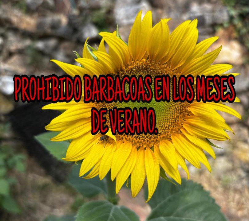 Photo of Others in Almiruete