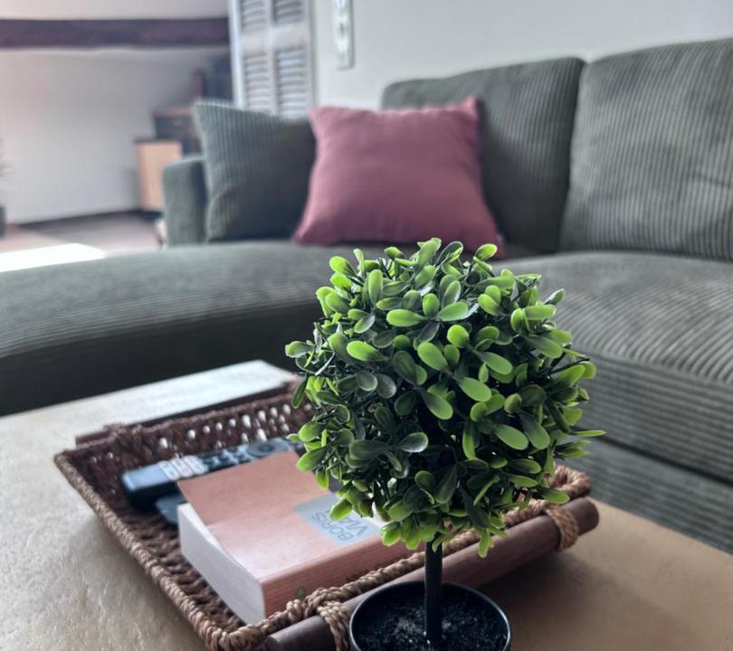 Photo of Livingroom in Saint-Maximin-la-Sainte-Baume
