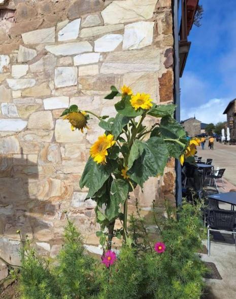 Photo of Others in Foncebadon