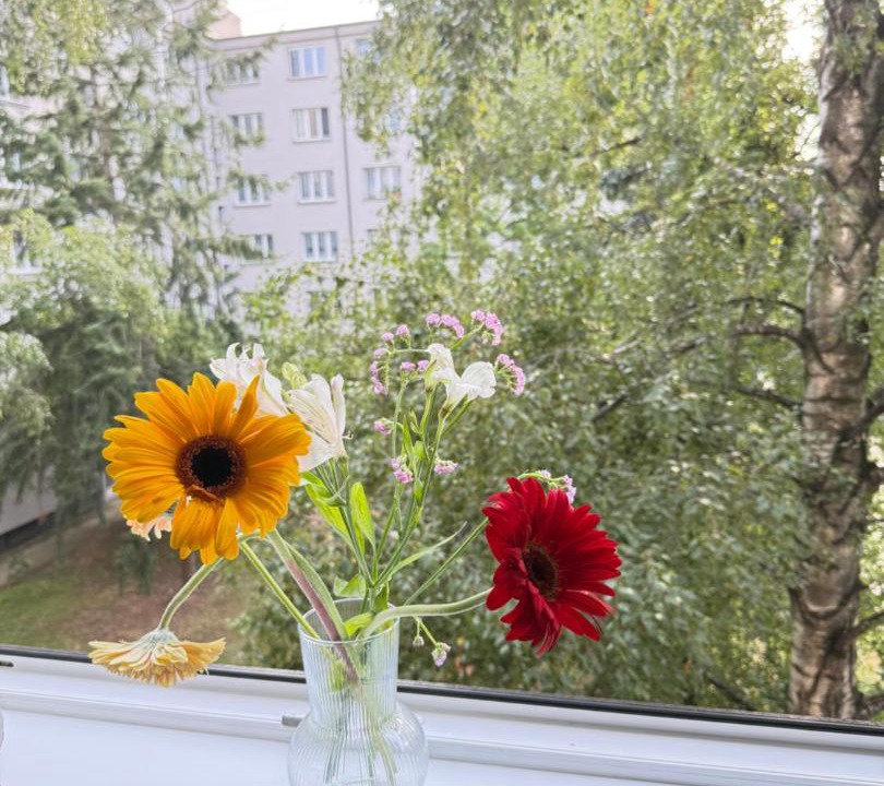Photo of Patio Balcony in Vrsovice