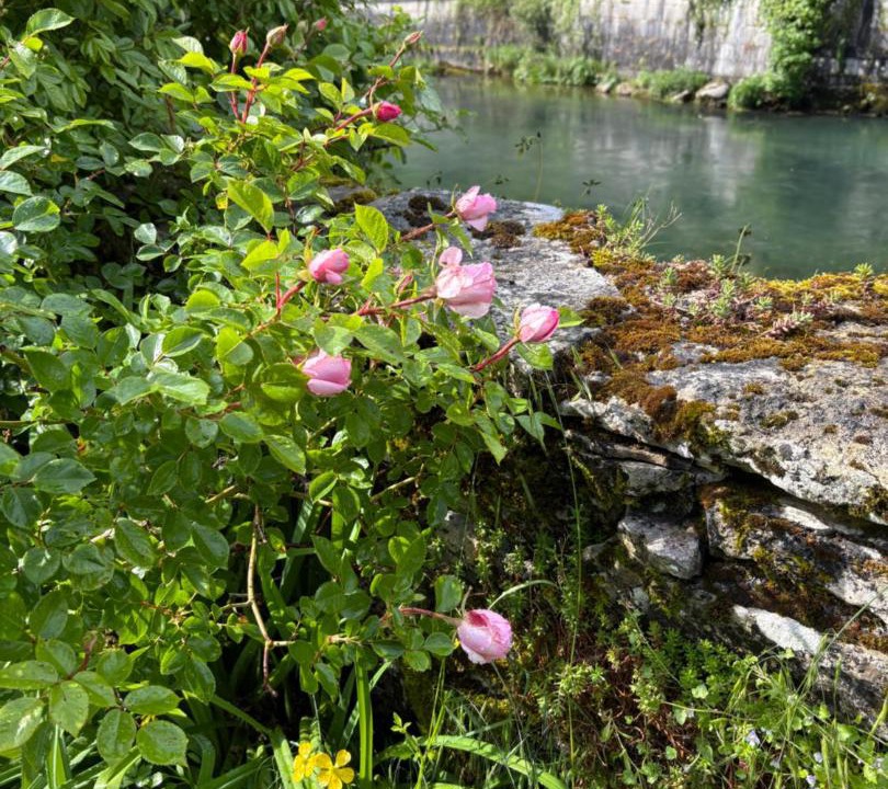 Photo of Outdoor in Lods