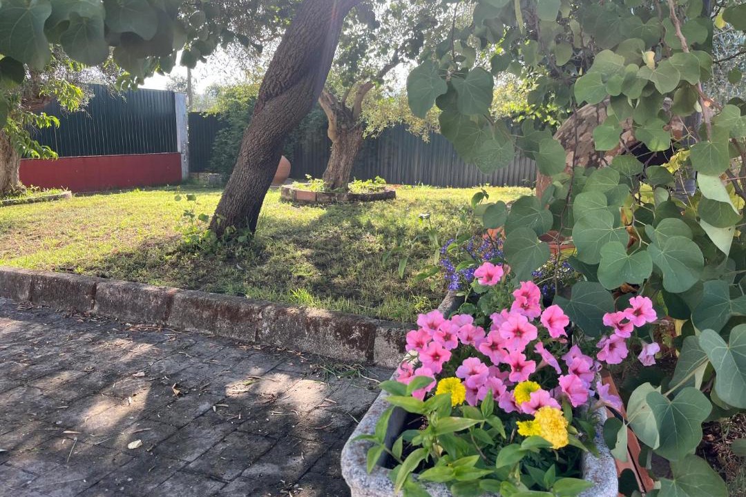 Photo of Outdoor in Pago de San Clemente