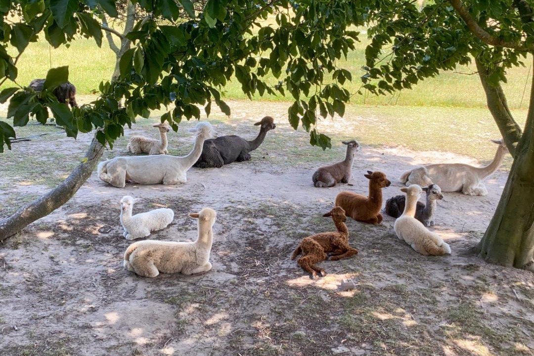 Photo of Others in Rubkow