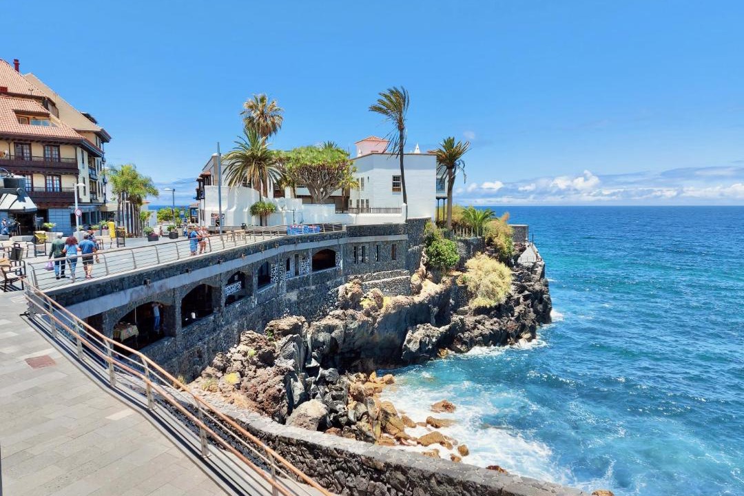 Photo of Others in Puerto de la Cruz