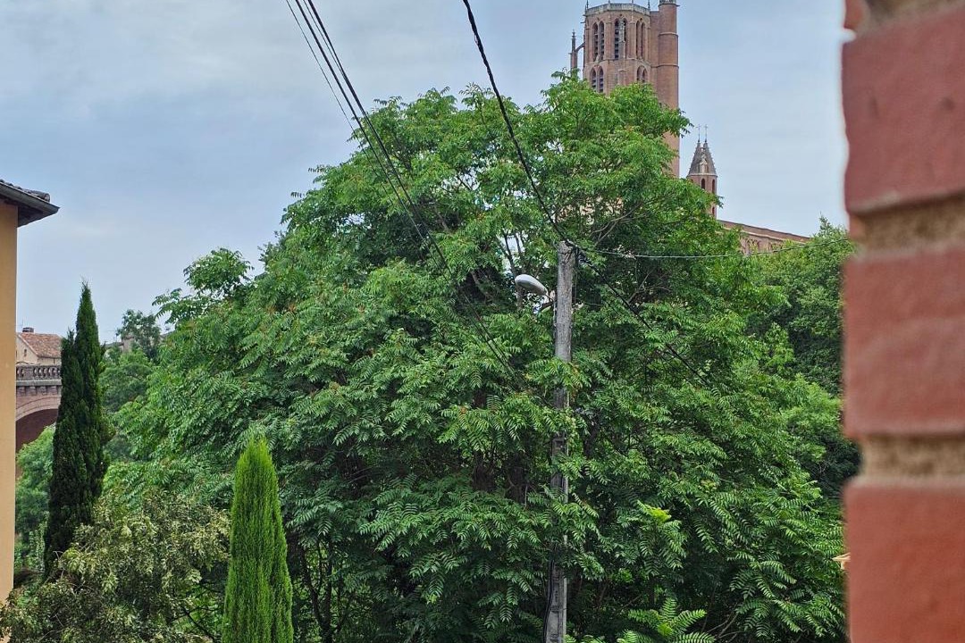 Photo of Others in Albi