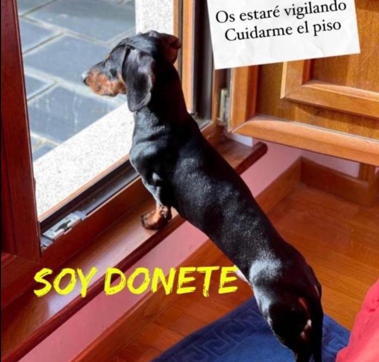 Photo of Others in Figueras (Castropol)