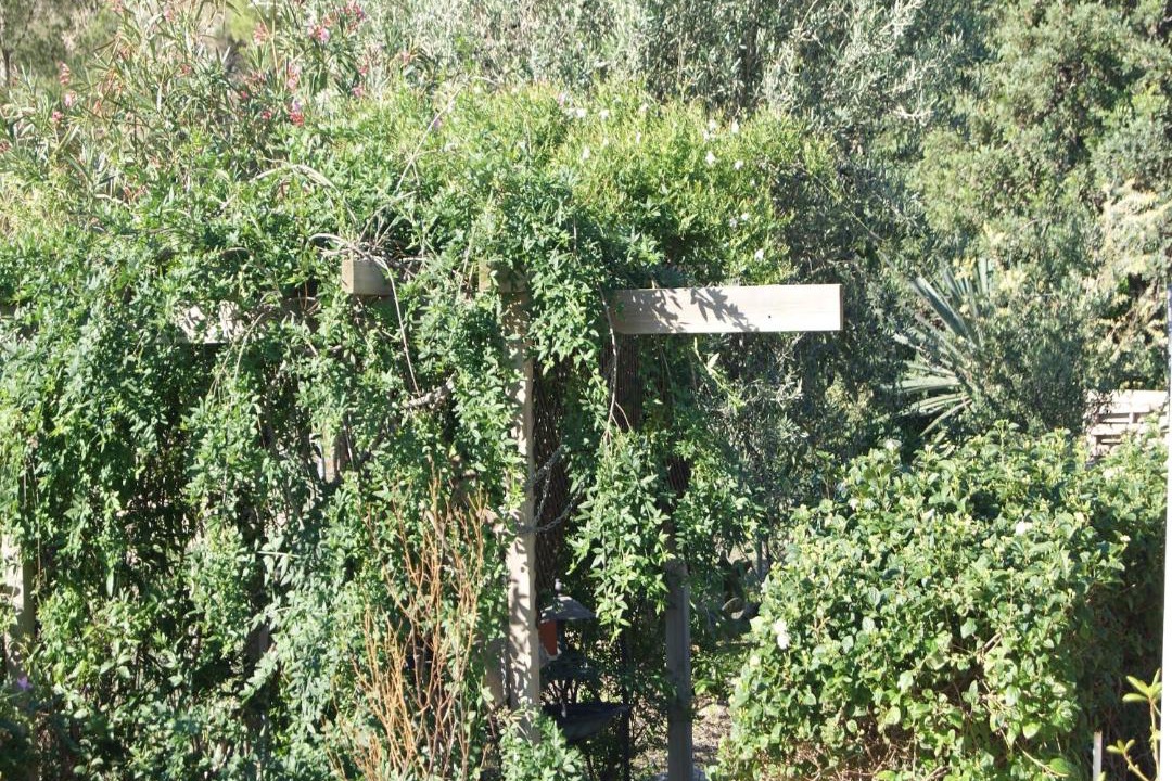 Photo of Others in Finestrat