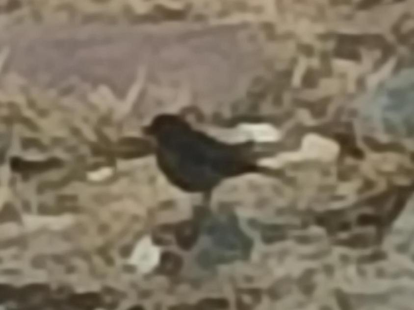 Photo of Others in Alange