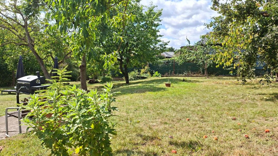 Photo of Outdoor in Tocna