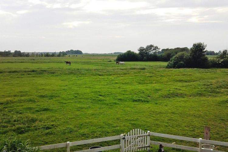Photo of Others in Toenning