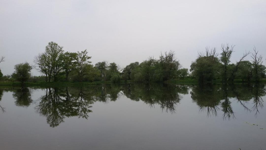 Photo of Outdoor in Nitzow