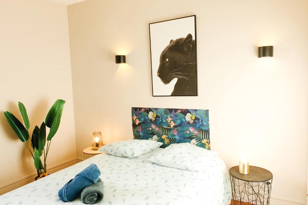 Photo of Bedroom in Pau Nord
