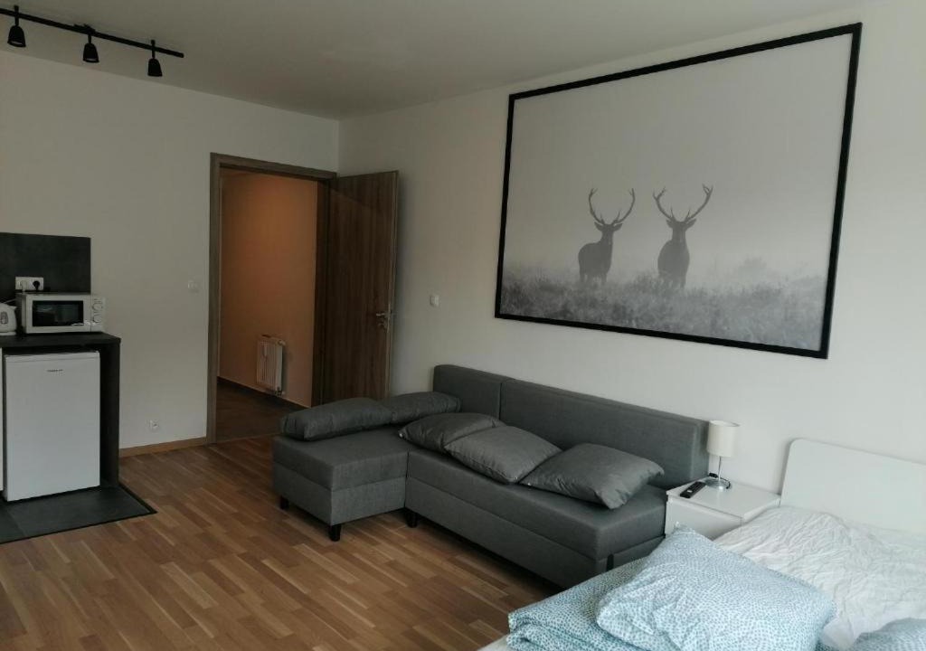Photo of Livingroom in Palmovka