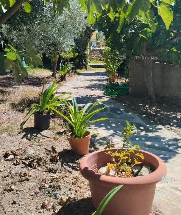 Photo of Others in La Acena de la Borrega