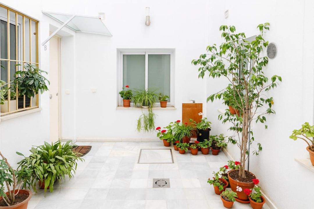 Photo of Patio Balcony in Santa Catalina