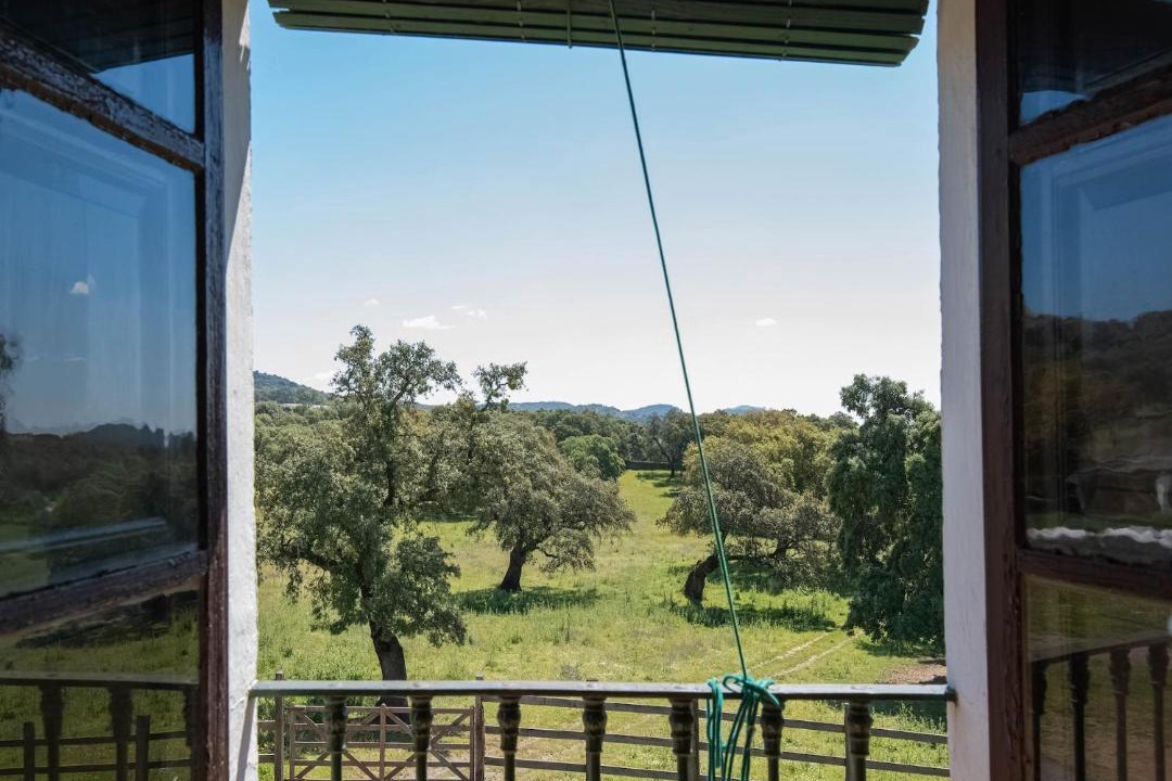 Photo of Patio Balcony in Aracena