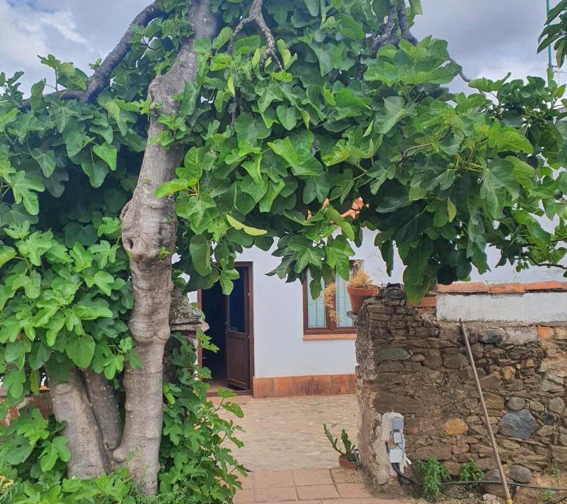 Photo of Others in Campofrio