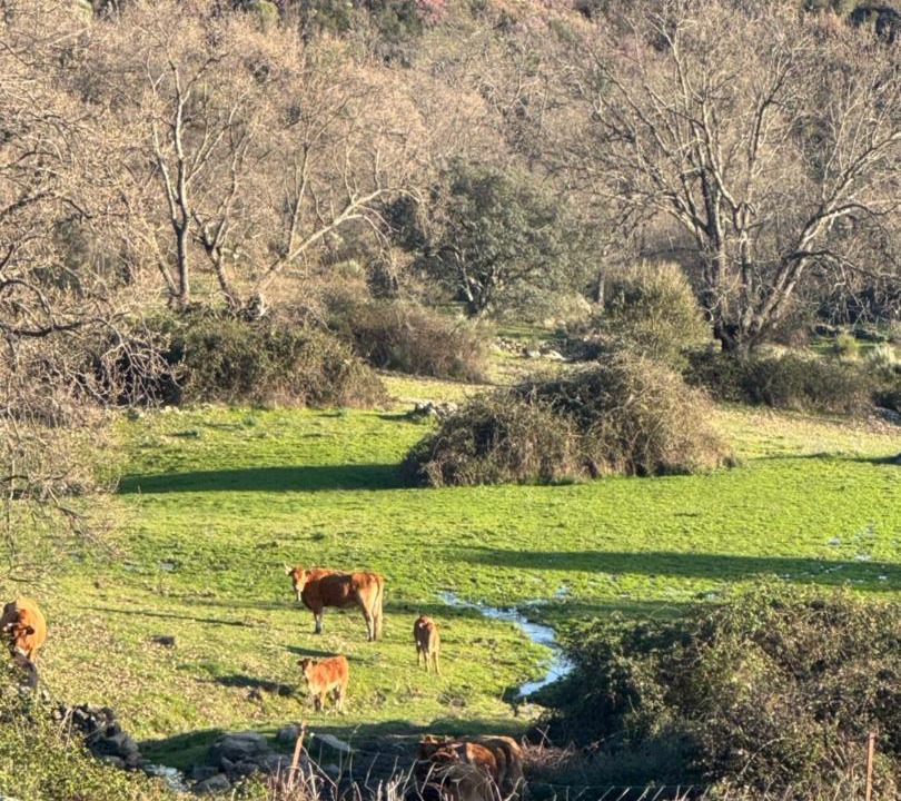 Photo of Others in Torremenga