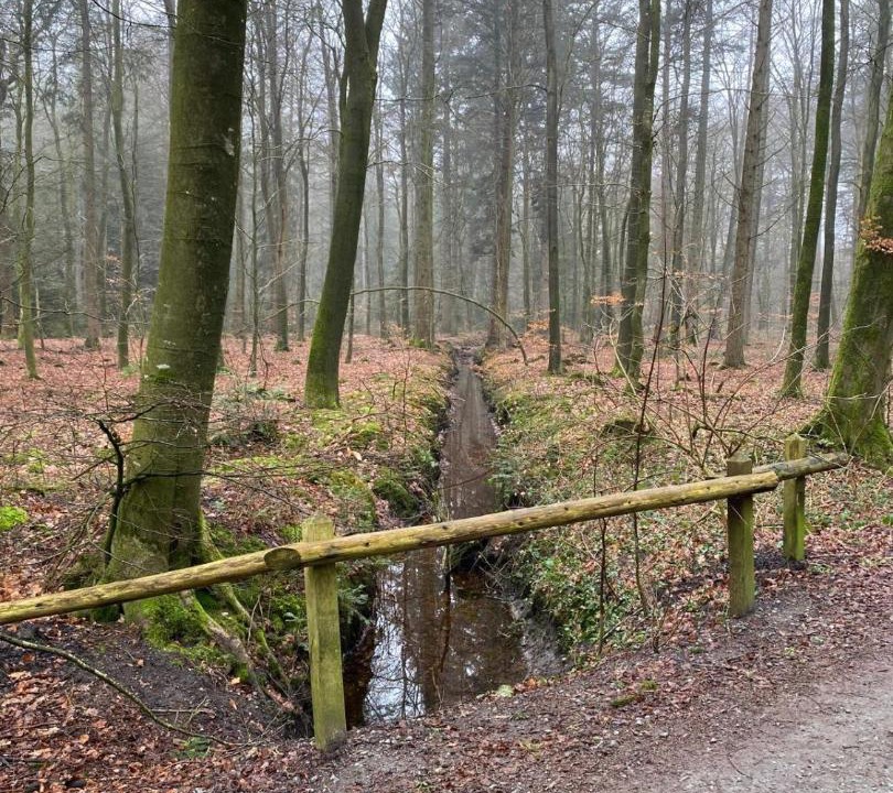 Photo of Others in Monkebull