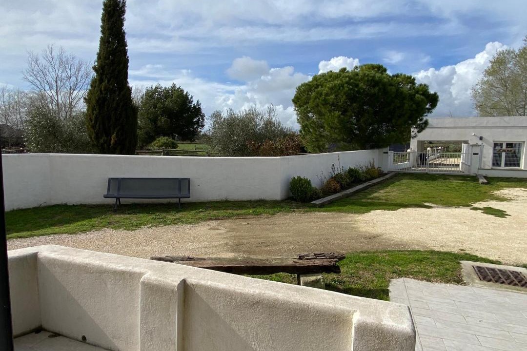 Photo of Others in Arles
