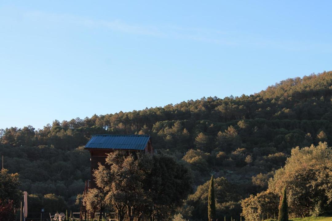 Photo of Others in Pedroso de Acim