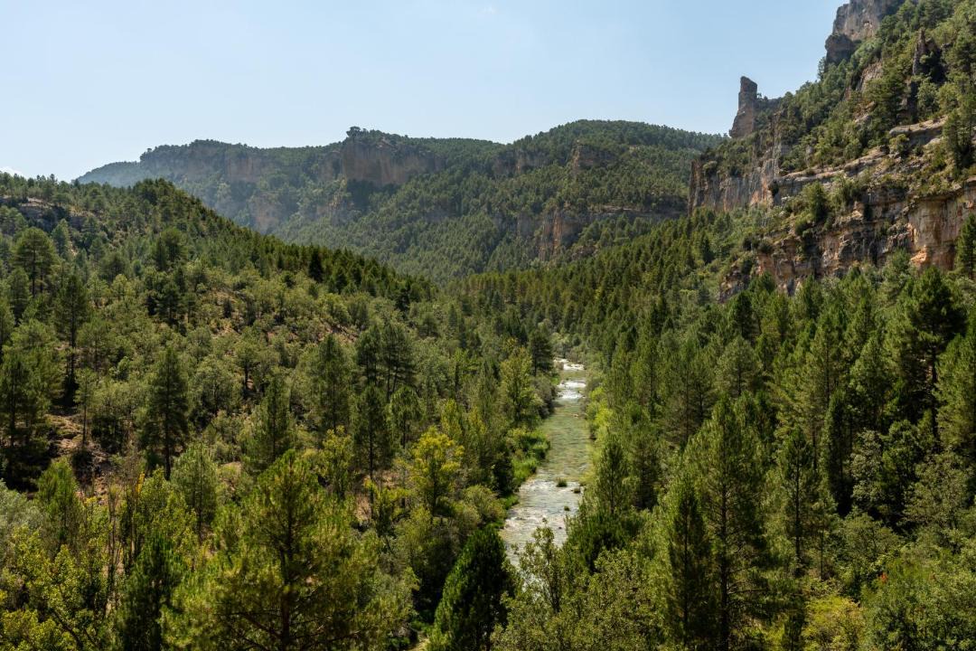 Photo of Others in Molina de Aragon