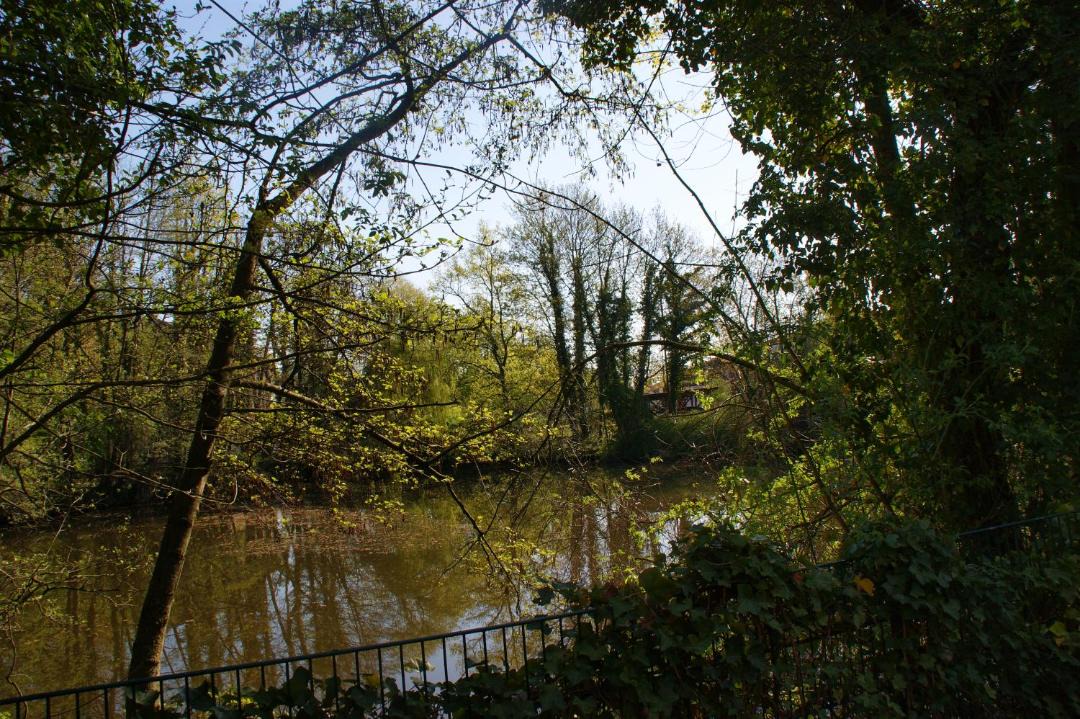 Photo of Others in Delmenhorst