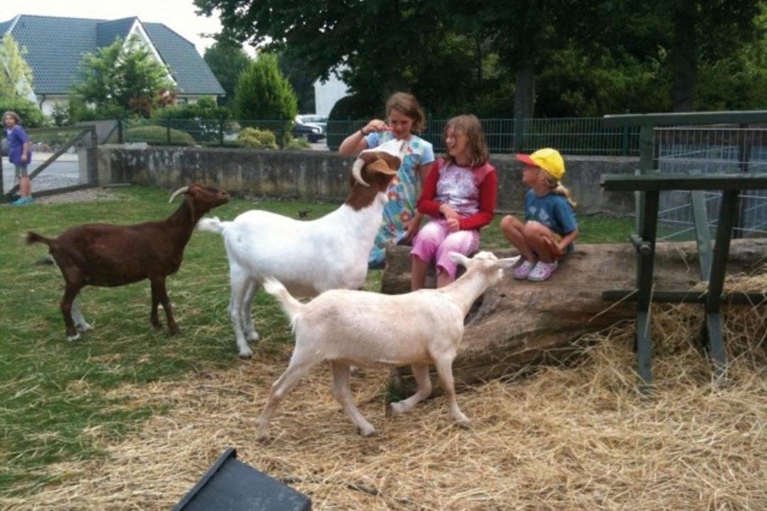 Photo of Others in Bannesdorf