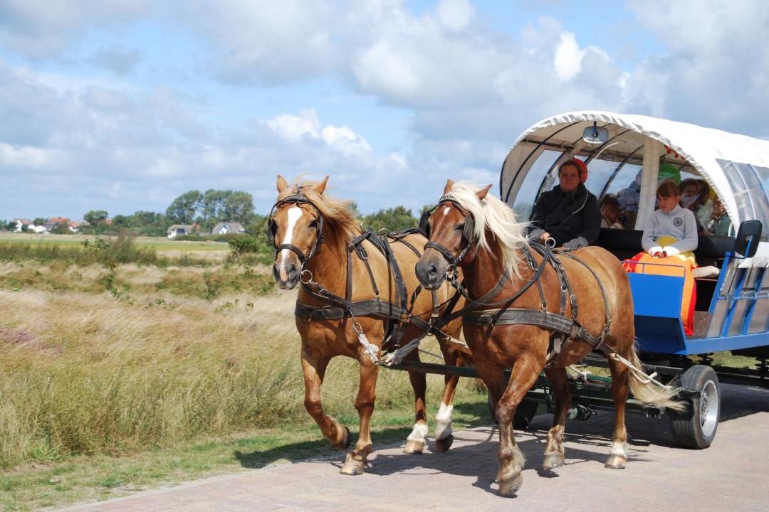 Photo of Others in Hiddensee