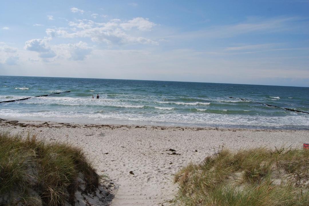 Photo of Others in Hiddensee