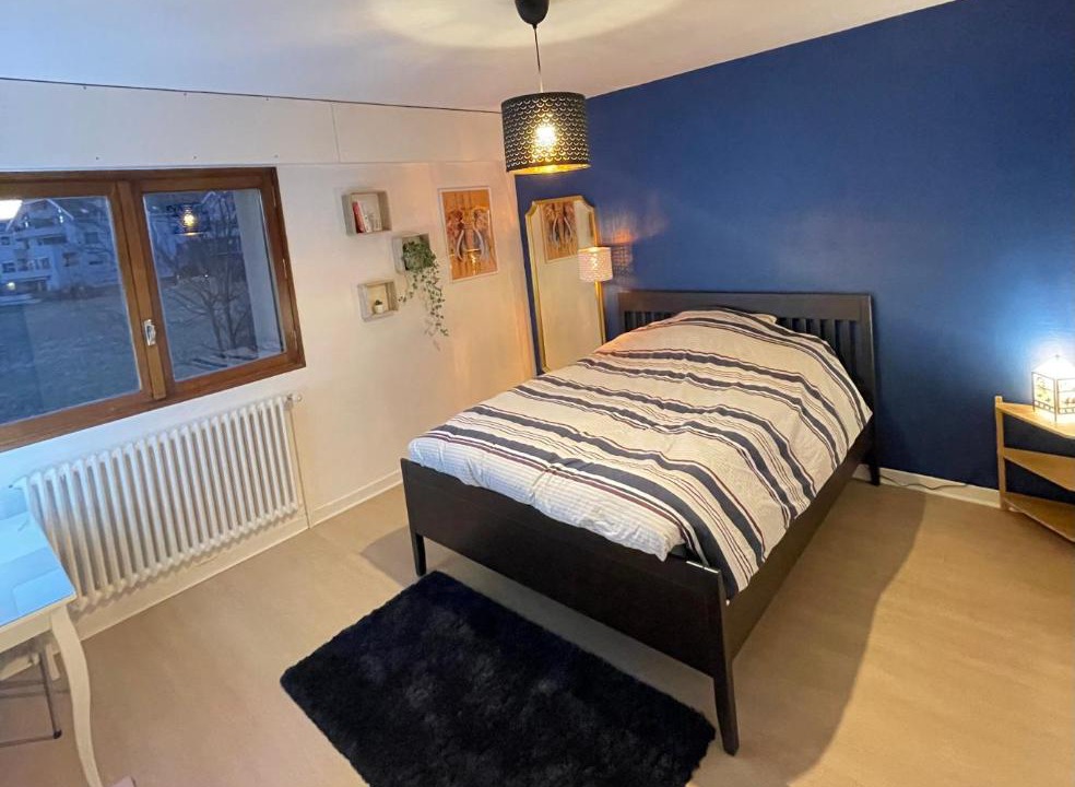 Photo of Bedroom in Ferney-Voltaire