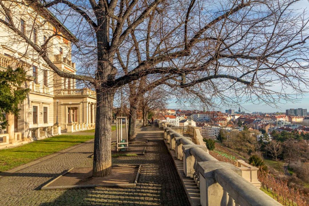 Photo of Others in Vrsovice