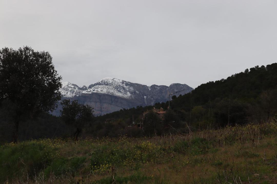 Photo of Others in Ainsa
