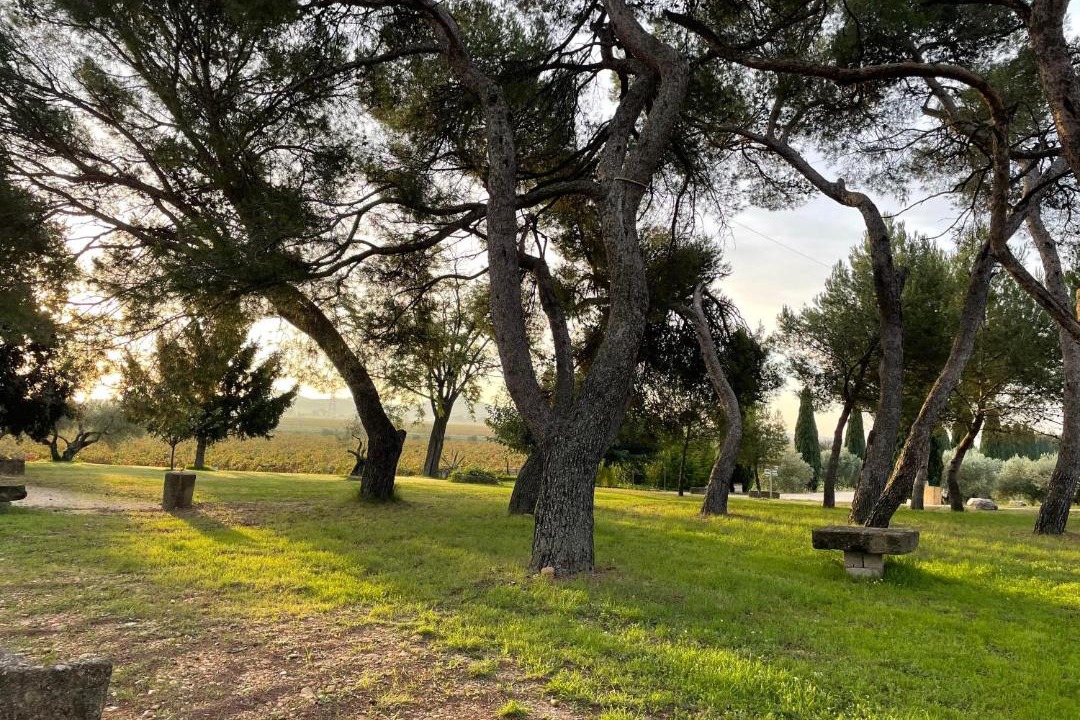 Photo of Others in Montfrin