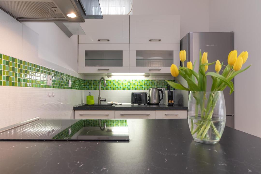 Photo of Kitchen in Nusle