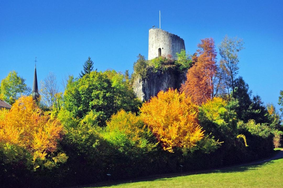 Photo of Others in La Roche-sur-Foron