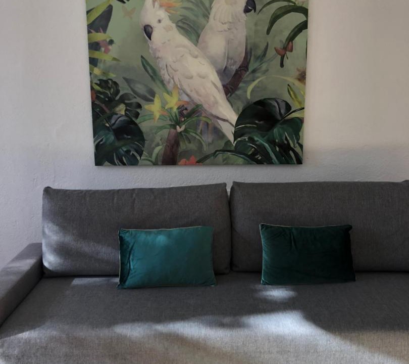 Photo of Livingroom in Olivella
