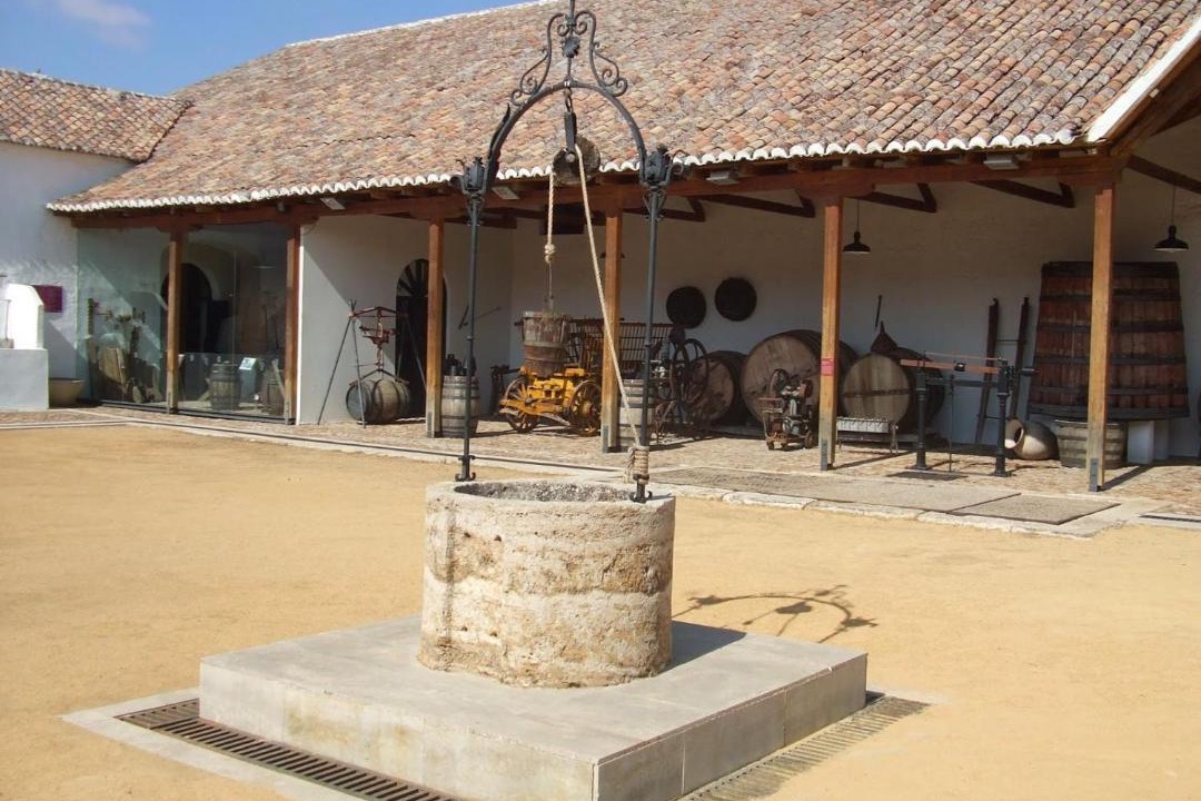 Photo of Others in Valdepenas